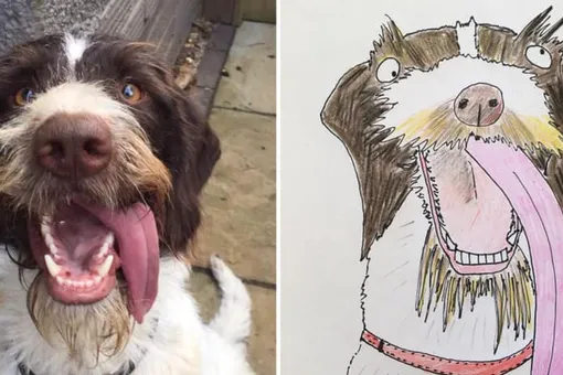 Британец собрал 5000 фунтов для бездомных людей, рисуя смешные портреты животных