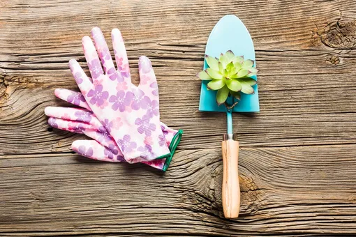 Такие перчатки подойдут лишь для самых безобидных садовых работ.