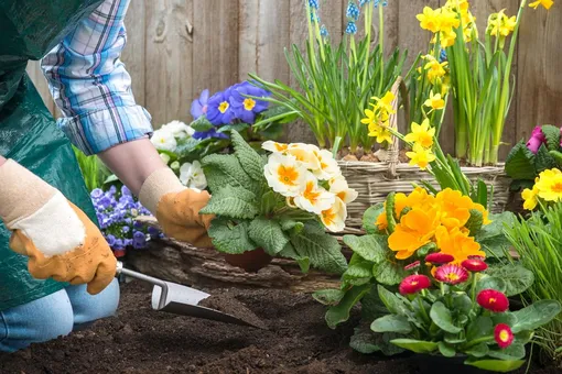 Лунный посевной календарь садовода и огородника на неделю с 18 по 24 марта 2024 года