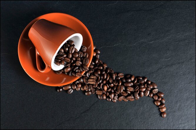 Продлевает жизнь, сохраняет молодость: 10 полезных свойств кофе