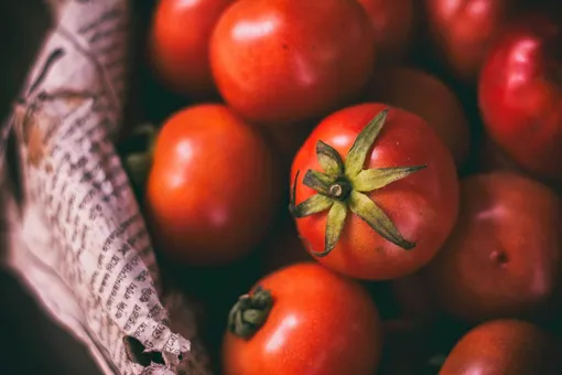 Выращивание томатов: что нужно знать, чтобы вырастить отличный урожай