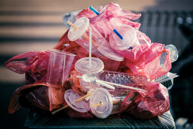 В каких странах запрещены одноразовые пластиковые пакеты