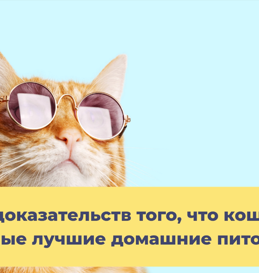 Нажми и смотри
