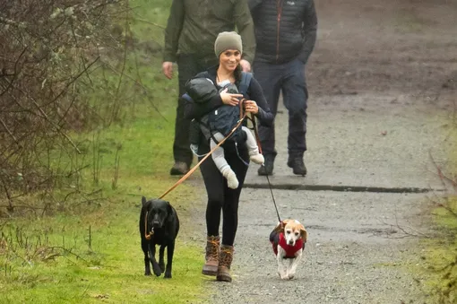 Меган Маркл на прогулке с собаками в Канаде