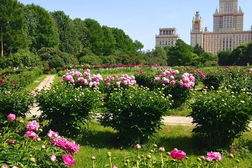 Ботанический сад МГУ имени М.В. Ломоносова