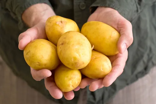приметы выращивание картофеля