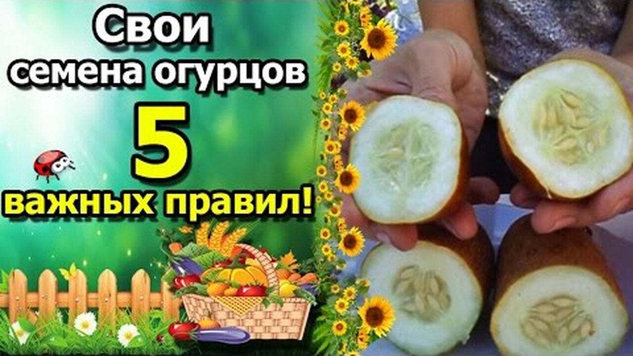 Klikněte a uvidíte