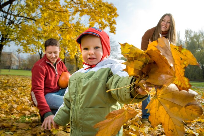 Почему листья осенью меняют цвет? Сможете ли вы объяснить это ребенку?