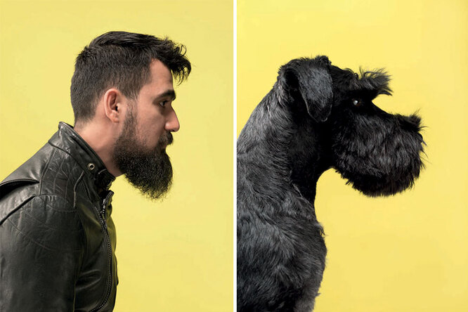 Почему собаки похожи на хозяев: смешная подборка фото собак и хозяев