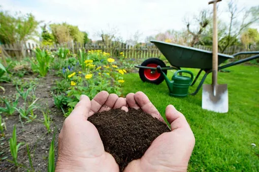 Как улучшить плодородие почвы: 5 способов