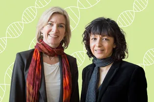 5 женщин-учёных, добившихся славы, признания и успеха — почему вы должны их знать
