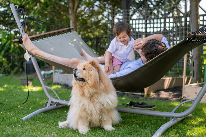 9 милых пород собак, которые не рекомендуются для семьи с ребёнком