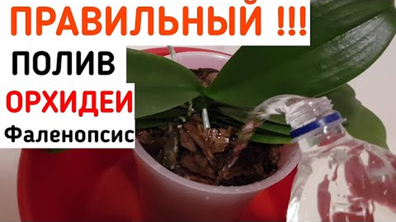 Klikněte a uvidíte