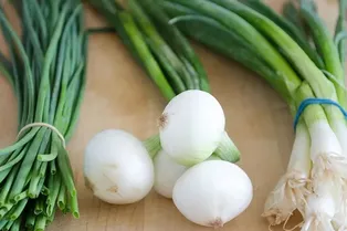 Зелёный лук: 10 проверенных и простых рецептов