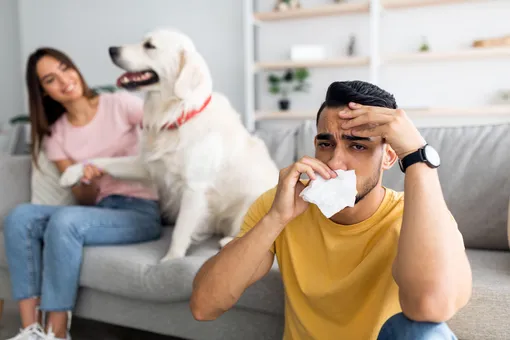 Ученые нашли ключ к лечению аллергии на собак