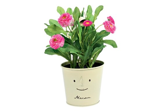 Горшочек сцветами, Pichshop