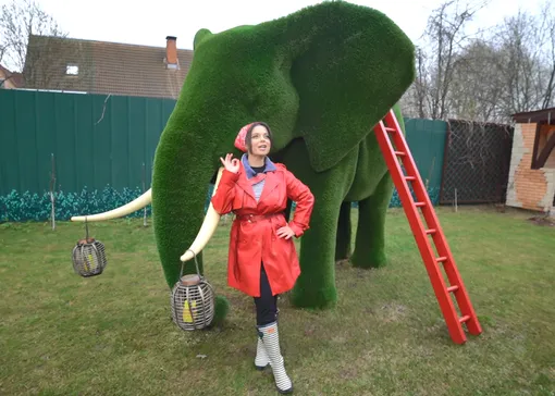 На даче Наташи Королевой есть слон. Он из травы и весит 200 кг
