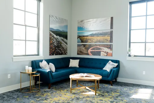Ковровое покрытие в гостиной сочетается по цвету с мебелью и картинами на стене
