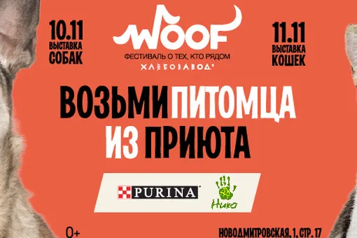Юбилейный фестиваль WOOF Fest: более 200 животных будут ждать новых хозяев на территории пространства «Хлебозавод №9»