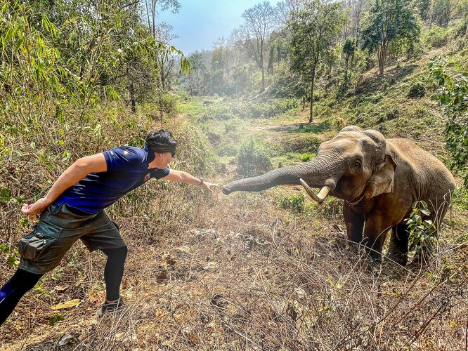 Он его узнал! Слон встретился с ветеринаром, который спас его 12 лет назад