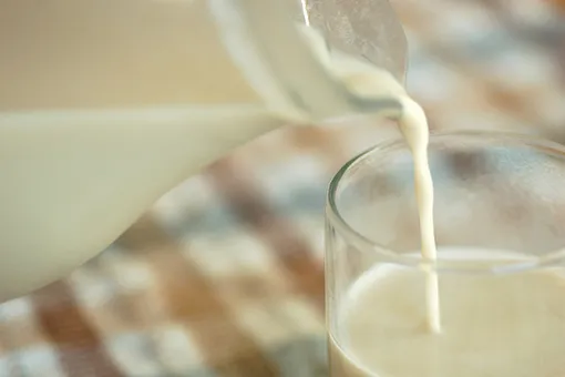 5 рецептов с натуральным молоком