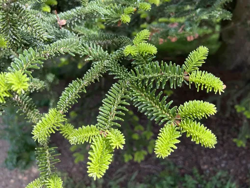 18dd58fe30f72fae11761e21317fd091_cropped_510x383