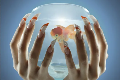 Московский салон предложил украсить ногти аквариумом с живой рыбкой