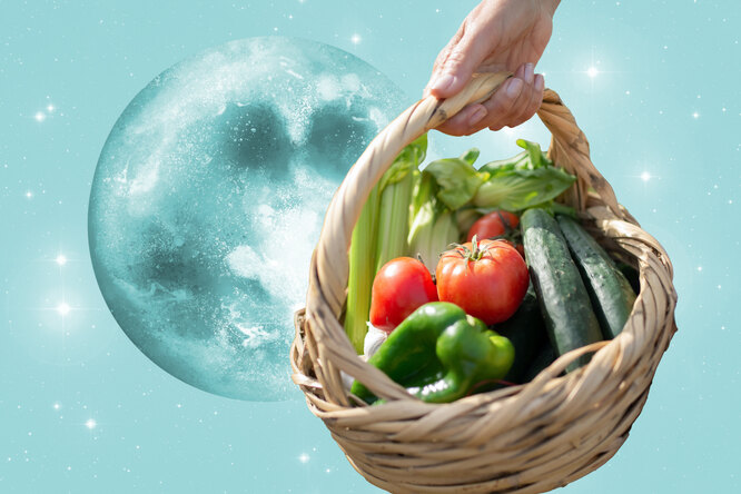 Лунный посевной календарь садовода и огородника на неделю с 29 мая по 4 июня 2023 года