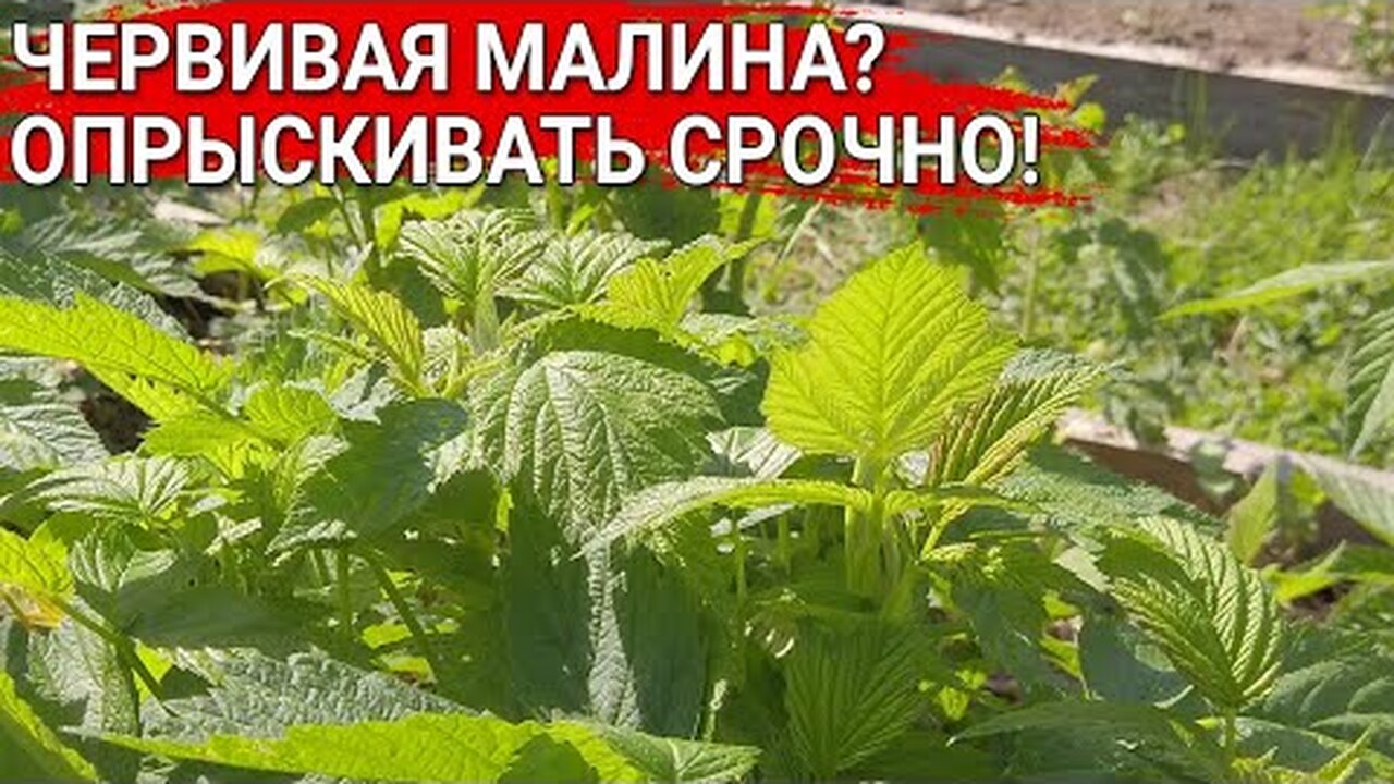 Klikněte a uvidíte