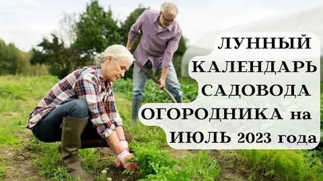 Лунный посевной календарь огородника на январь