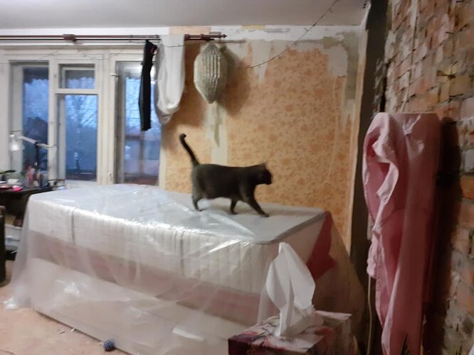 Как я сделала ремонт в 22-метровой хрущёвке своими руками: личный опыт