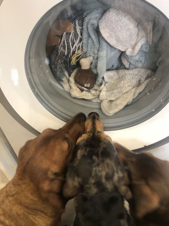 Игрушки как источник радости