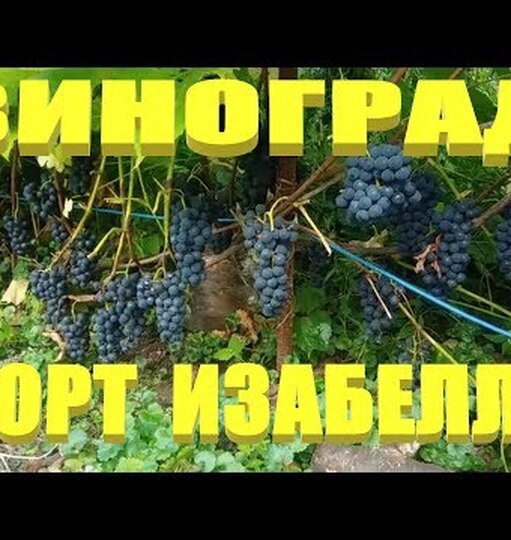 Klikněte a uvidíte