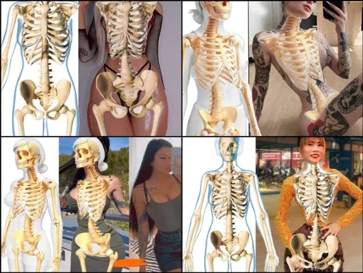 нормальный скелет, скелет фотошоп