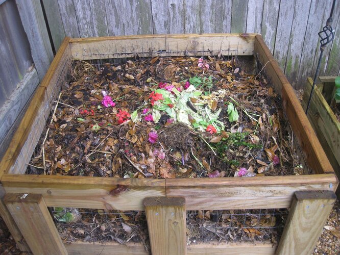 Большинство садоводов рекомендуют класть в компостную яму ботву бархатцев