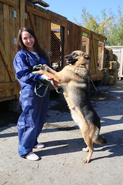 Сотрудники и партнеры компании помогают приютам для животных в Новосибирске — гуляют с его обитателями, привозят корм, организуют уборку территории.