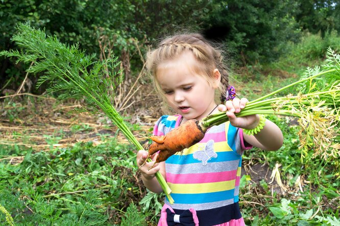 девочка держит в руках огромную морковь