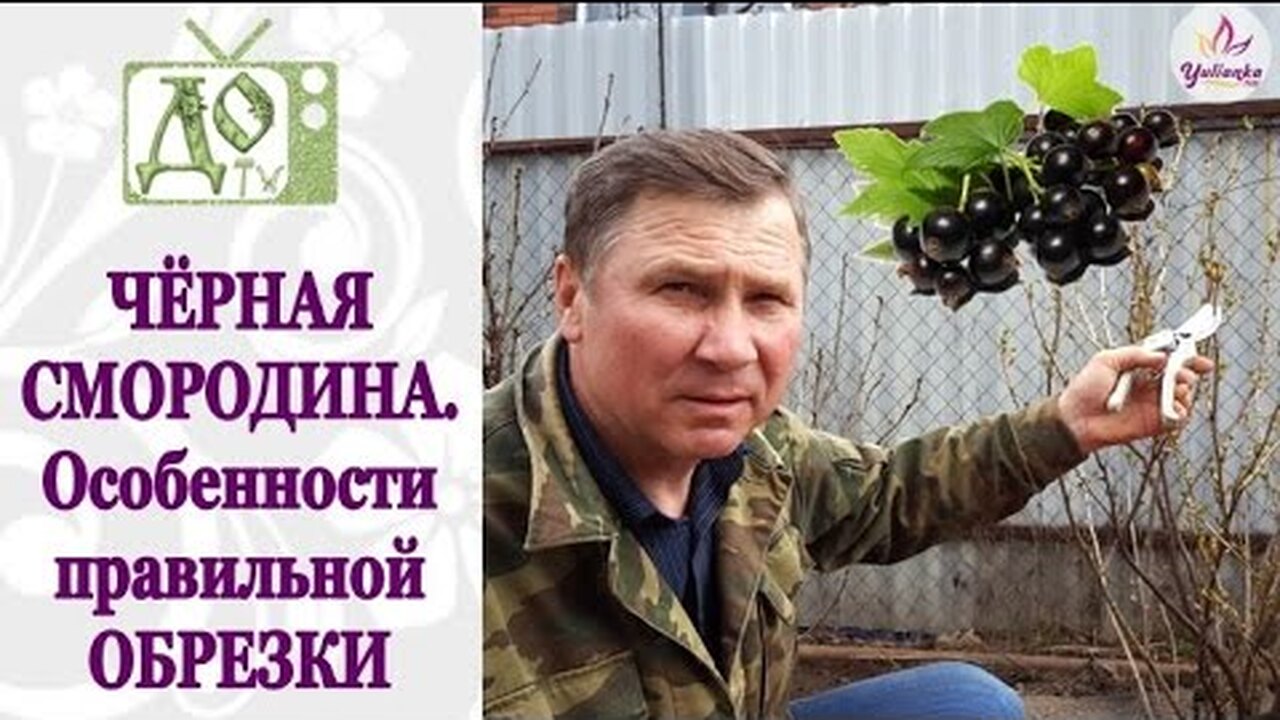 Klikněte a uvidíte