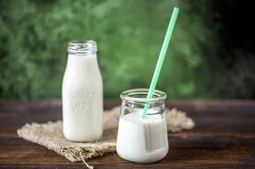 Йогурт и другие молочные продукты — это источник белка, кальция и пробиотиков.