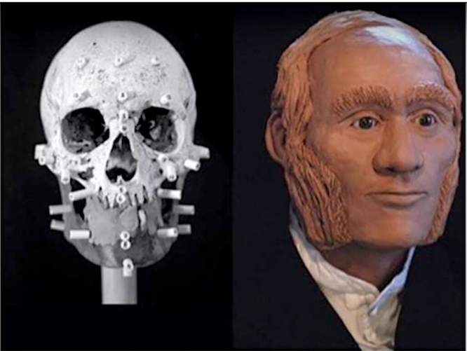 Реконструкция лица по черепу