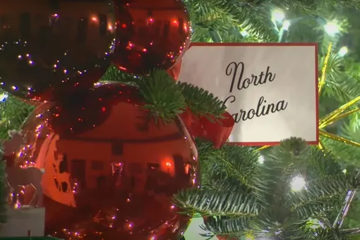 Рождественскую елку в Белом доме украсили символами каждого штата