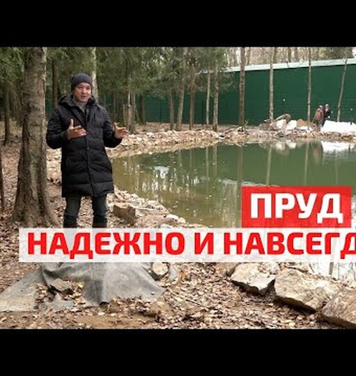 Нажми и смотри