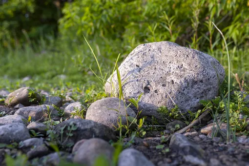 Волшебный сад камней: гениальные идеи для декора участка из бесхозных булыжников