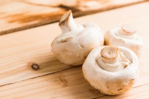 6 удивительных преимуществ грибов для здоровья кожи, мозга и костей
