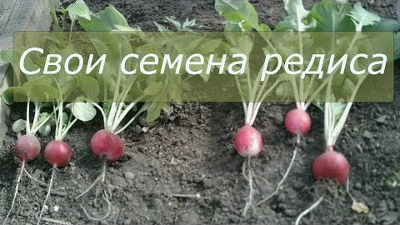 Klikněte a uvidíte