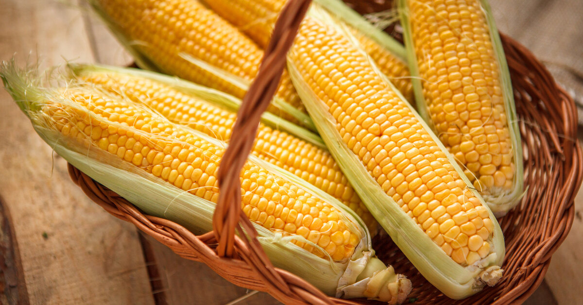 Жемчужная сахарная кукуруза