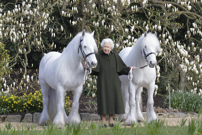 Королева Елизавета и её любовь к лошадям: 6 любопытных фактов
