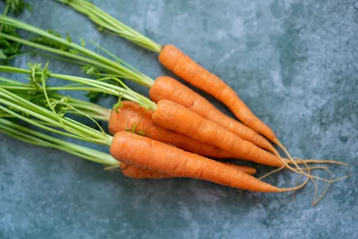 Раннюю морковь можно собирать через 50 дней после посева