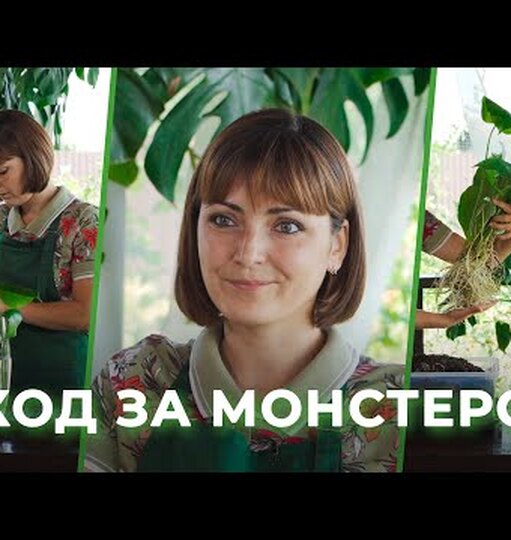 Klikněte a uvidíte