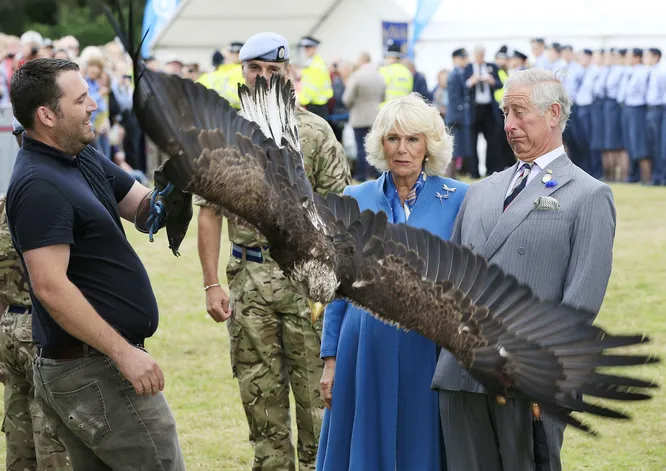 Для принцев важно держать лицо в любой ситуации, даже если перед ним машет крыльями огромный белоголовый орлан по кличке Зефир - талисман армейского воздушного корпуса